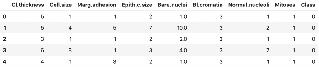 Breast Cancer Dataset